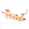 Acrylglasbild Orchideenblüte gelb