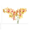 Acrylglasbild Orchideen rotgelb