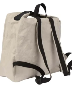 Paplebag Swamp stone hinten